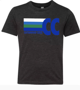 COTTONWOOD  Block StripeTee