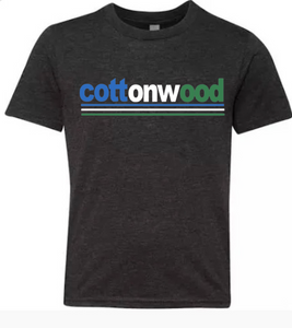 COTTONWOOD  Faded Stripe Tee