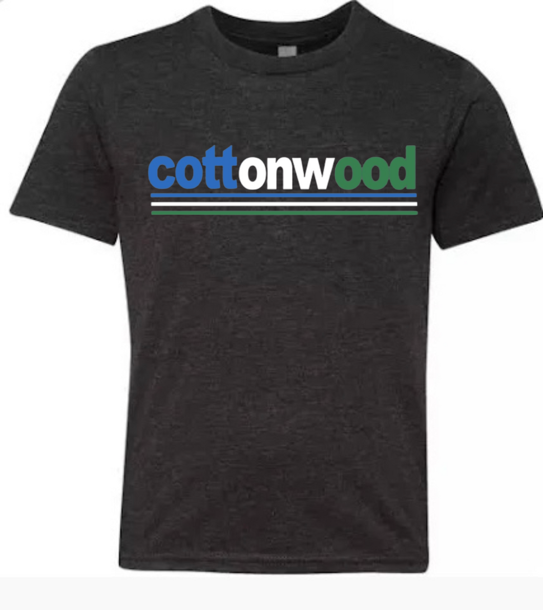 COTTONWOOD  Faded Stripe Tee