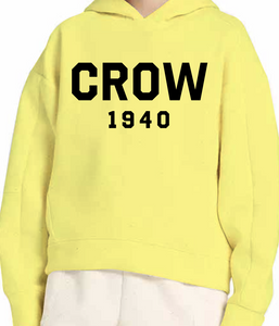 Crow Island Collegiate Hoodie
