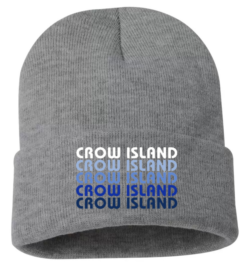 Crow Island Repeat Beanie - Order by 11/20 for Book Fair Delivery