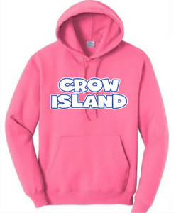 Crow Island Varsity Pink Custom Hoodie - Order by 11/20 for Book Fair Delivery